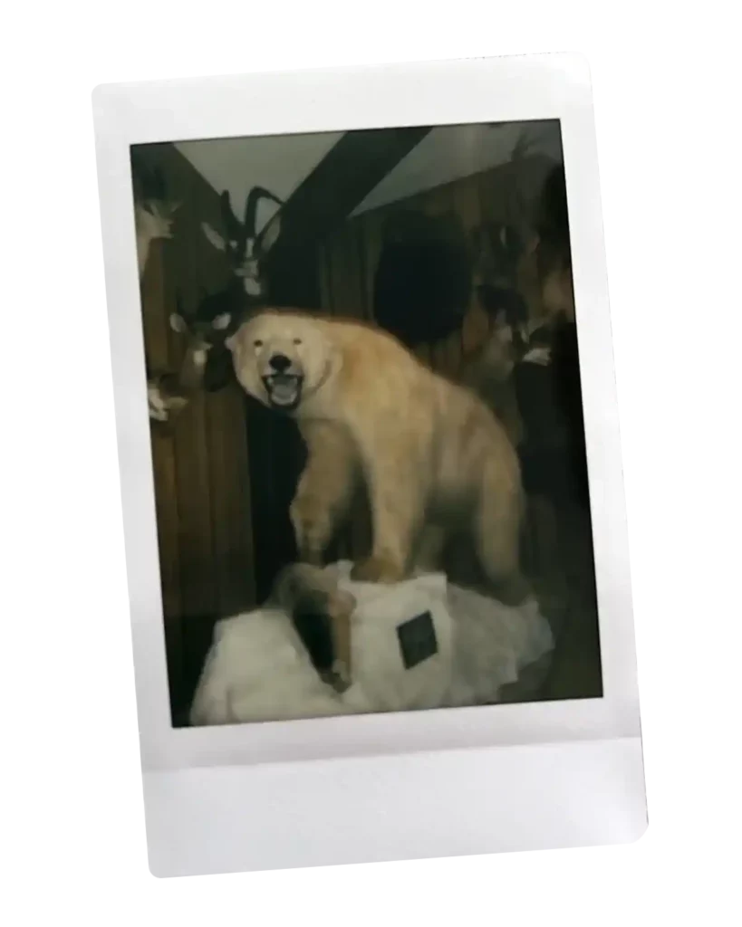 Polaroid of a polar bear